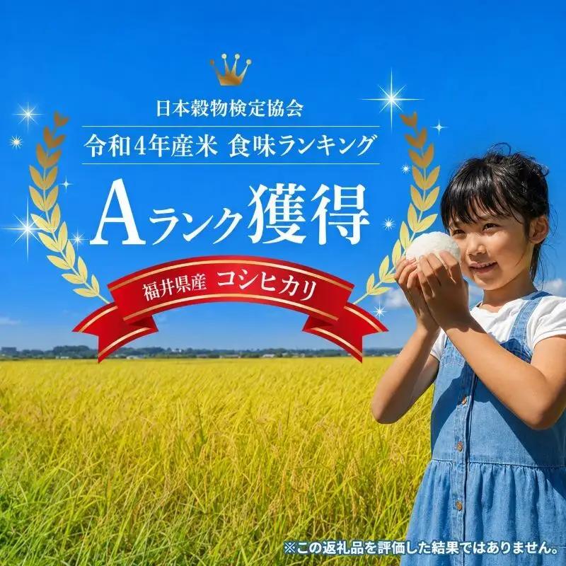 コシヒカリ 米 5kg 単一原料米 一等米 白米 コシヒカリ