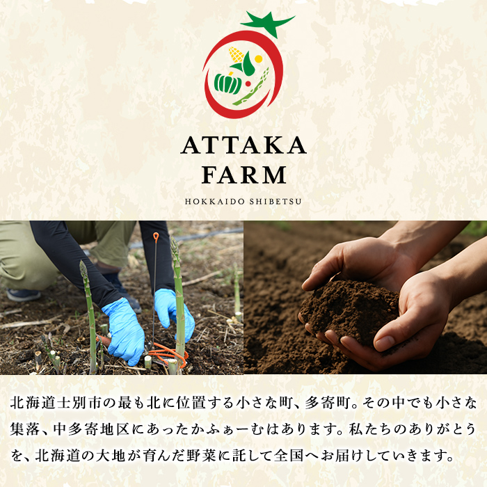 【A7081】＜特別栽培・期間限定＞北海道士別市産 朝採りグリーンアスパラ (M～2Lサイズ混合・500g) 【2026年5月以降順次発送】野菜 アスパラ アスパラガス グリーンアスパラ 北海道 北海