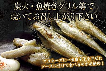 一夜干こまい500g×2P G-07007