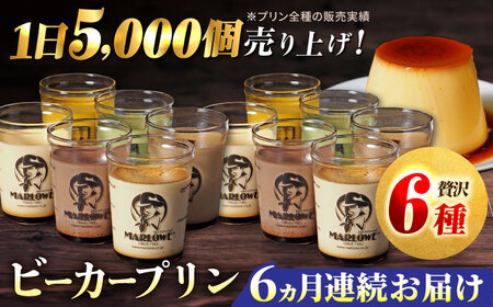  【全6回定期便】葉山ビーカープリン パーティーアソート セット 6種×2個 詰め合わせ（カスタードプリン・かぼちゃプリン・抹茶プリン・北海道フレッシュクリームプリン・エスプレッソプリン・チョコレートプリン）【マーロウ】 [AKAF048]