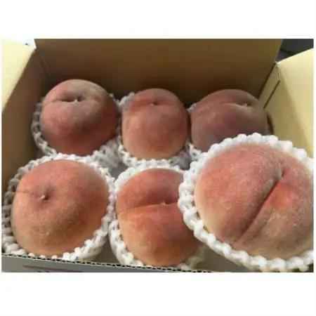 農家直送!山梨のべっぴん桃　約1.5Kg(5～6玉)【配送不可地域：離島】【1753836】