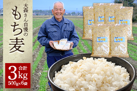 【 熊本県産 もち麦 】3kg(500g×6袋) 白米 と 炊くだけ！【 もちもち もちむぎ 麦 もち麦 ヘルシー 食感 ぷちぷち 食物繊維 炊飯 健康 高栄養 ポリフェノール  熊本県 多良木町産 