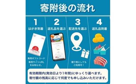 あとからセレクト 【ふるさとギフト】 10万円分  和歌山県 紀美野町  【atokara015】