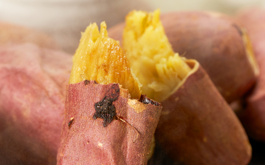 茨城県産 さつまいも 冷凍焼き芋  1.5kg(500g×3袋)【配送不可地域：離島・沖縄県】