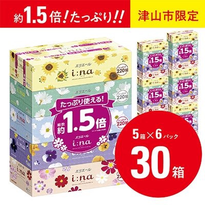 
            ＜津山工場限定＞エリエール i:na(イーナ)ティシュー 220組5箱×6パック(30箱)【1615608】
          