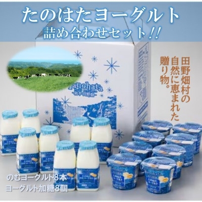 
                  ～とろーり濃厚　喉ごしまろやか～　たのはたヨーグルトセット(TK-2)【1273685】
                