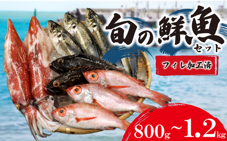 旬の鮮魚 800g ～ 1.2kg フィレ加工処理済 (鮮魚鮮魚鮮魚鮮魚鮮魚鮮魚鮮魚鮮魚鮮魚鮮魚鮮魚鮮魚鮮魚鮮魚鮮魚鮮魚鮮魚鮮魚鮮魚鮮魚鮮魚鮮魚鮮魚鮮魚鮮魚鮮魚鮮魚鮮魚鮮魚鮮魚鮮魚鮮魚鮮魚鮮魚鮮魚鮮魚鮮魚鮮魚鮮魚鮮魚鮮魚鮮魚鮮魚鮮魚鮮魚鮮魚鮮魚鮮魚鮮魚鮮魚鮮魚鮮魚鮮魚鮮魚鮮魚鮮魚鮮魚鮮魚鮮魚鮮魚鮮魚鮮魚鮮魚鮮魚鮮魚鮮魚鮮魚鮮魚鮮魚鮮魚鮮魚鮮魚鮮魚鮮魚鮮魚鮮魚鮮魚鮮魚鮮魚鮮魚鮮魚鮮魚鮮魚鮮魚鮮魚鮮魚鮮魚鮮魚鮮魚鮮魚鮮魚鮮魚鮮魚鮮魚鮮魚鮮魚鮮魚鮮魚鮮魚鮮魚鮮魚鮮魚鮮魚鮮魚鮮魚鮮魚鮮魚鮮魚鮮魚鮮魚鮮魚鮮魚鮮魚鮮魚