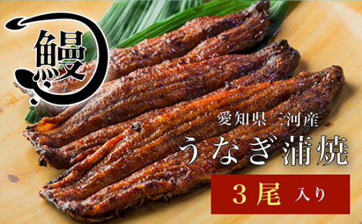 うなぎの蒲焼3尾 ／ 花心亭 熟練職人 三河一色 高級 鰻 ふっくら 鰻の蒲焼 こだわりのたれ お取り寄せ ごちそう 贈り物 愛知県 No.144