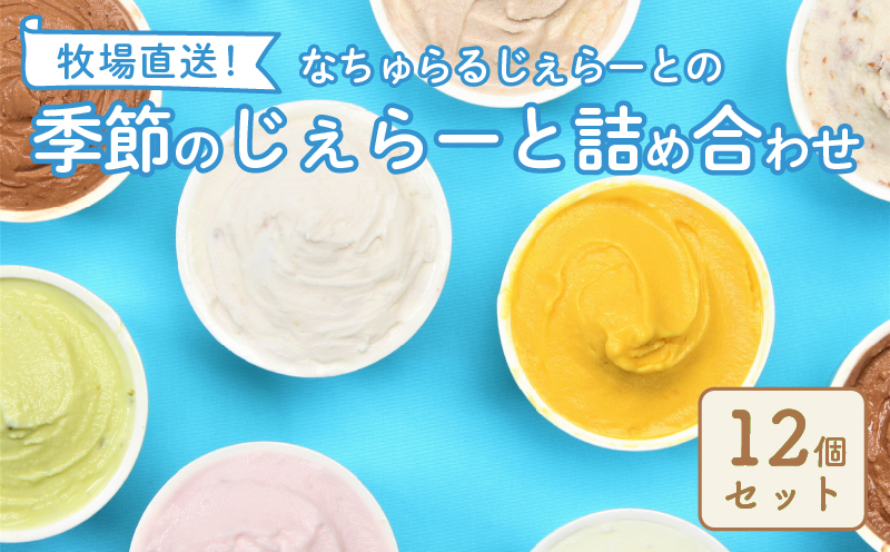 なかの牧場なちゅらるじぇらーとセット 12個入 【 ミルク チョコ ブルーベリー チーズ お茶 緑茶 紅茶 ほうじ茶 ラム レーズン ピスタチオ 塩 キャラメル アイス ジェラート セット 季節 お茶 冨士美園 てづくり なちゅらるじぇらーと なかの牧場 12個 F02 】