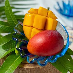 【2026年発送・糖度12度以上保証】頑固おやじのこだわりマンゴー超大玉1玉(700g～850g)【配送不可地域：離島】【1675680】