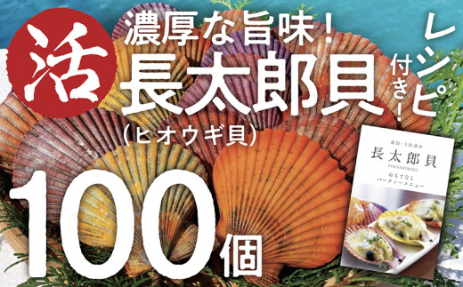 
生け簀でお届けヒオウギ貝100個セットエアポンプ付（ホタテの仲間）アウトドア キャンプ 海鮮BBQ 魚貝 刺身 生 貝殻付 活 貝柱 酒蒸し バーベキュー【R00679】
