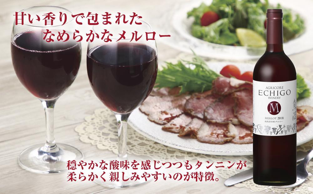 無地熨斗 越後ワイン メルロー 赤 750ml 2本セット アグリコア  越後ワイナリー  南魚沼市産メルロー使用 辛口 ミディアムボディ 度数12% 国産ワイン 魚沼ワイン わいん 送料無料 新潟県