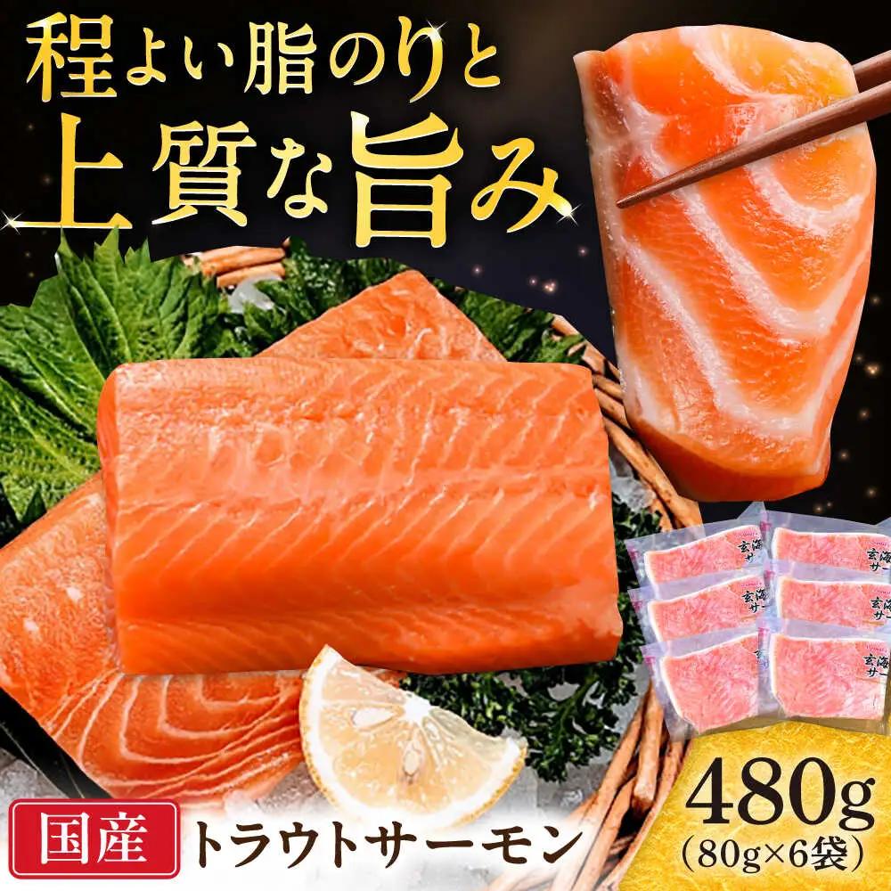 玄海サーモン柵80g×6袋 / 佐賀県 / 株式会社九州特産品販売 [41AECT008]