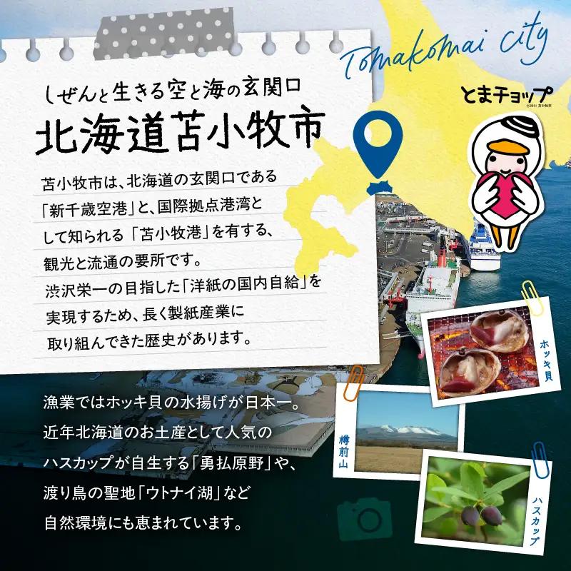 北海道 苫小牧市 応援寄附金 （ 返礼品なし ） 1,000円 T000-001-01 応援 返礼品無