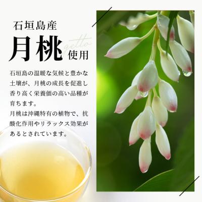 ふるさと納税 石垣市 石垣島のハーブティー リュウキュウブレンド　10g(2g×5包)×3袋 |  | 02