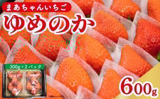 【 先行予約 】 いちご ゆめのか 600g (300g×2p) 苺 ストロベリー 果物 フルーツ デザート スイーツ おやつ お菓子 洋菓子 和菓子 ケーキ ゼリー ジュース ジャム アイス シャーベット スムージー ヨーグルト クレープ タルト チョコ 大福 フルーツサンド ギフト プレゼント 贈答 お取り寄せ グルメ 冷蔵 送料無料 阿波市 徳島県 佐藤農園