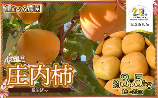 【令和7年産先行予約】　庄内柿 （ひらたねなし柿）　家庭用　約3.5kg　18～23玉　【市制施行20周年記念返礼品】　重ちゃん農園