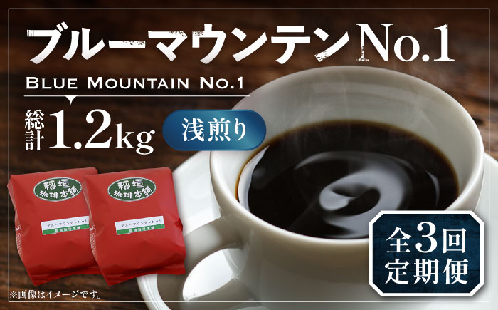 
【全3回定期便】ブルーマウンテン NO.1 コーヒー ( 浅煎り ) 《豊前市》【稲垣珈琲】 珈琲 コーヒー 豆 粉 [VAS149]
