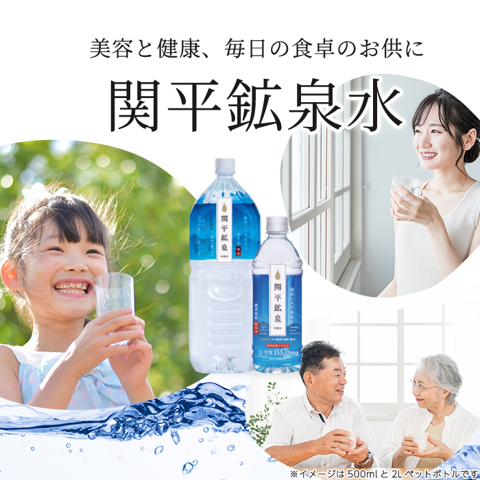 A-031 関平鉱泉水（ペットボトル）500ml×24本！美容と健康のミネラル成分シリカが豊富なミネラルウォーター【関平鉱泉所】霧島市 シリカ水