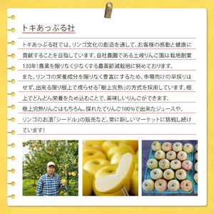 木製コースター 1枚 リンゴの枝 木で繋がる「きづなコースター」