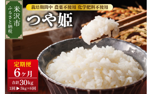 【先行予約】2026年10月配送開始 6ヶ月定期便  令和8年産 つや姫 5kg × 6回 計 30kg 特別栽培米 【栽培期間中農薬不使用・化学肥料不使用】