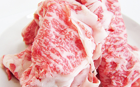 A4等級以上 飛騨牛 焼肉 切り落とし 250g × 4 計 1kg 牛肉 ブランド牛 肉 切落し わけあり ぎゅうにく にく ひだぎゅう ひだうし 訳あり 商品 ワケアリ 不揃い 大容量 切り落とし