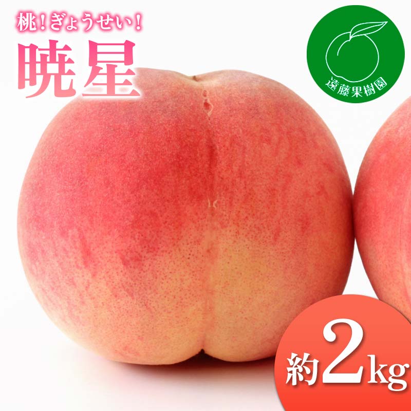 【ふるさと納税】【2026年出荷分先行予約】福島県産 暁星 約2kg (5～9玉) 遠藤果樹園 ぎょうせい 伊達の桃 桃 小玉 フルーツ 果物 もも モモ momo F20C-832