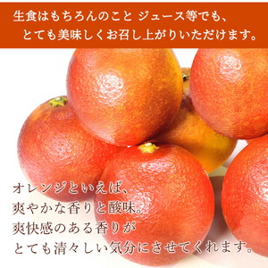 希少な柑橘!紀州有田産ブラッドオレンジ約3kg 【ご家庭用】※2024年4月上旬頃～4月中旬頃に順次発送 (お届け日指定不可) 【uot771】