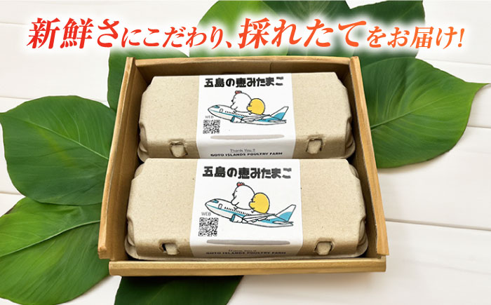 【全3回定期便】【ギフトBOX】五島の恵みたまご M～Lサイズ 20個入 / 卵 赤玉子 五島市 / 五島列島大石養鶏場 [PFQ011]