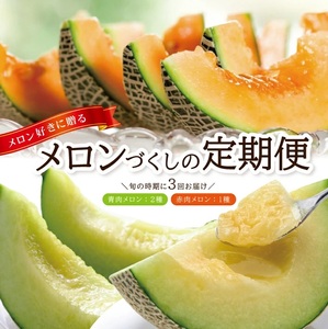 SE0507　【3回定期便】メロン好きに贈る メロンづくしの定期便2026(2) (甘えんぼう、しっかり娘、アールスメロン)