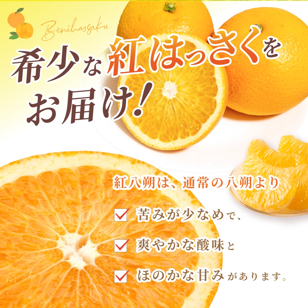 【先行予約】【数量わずか】あふれる果汁！ 希少な紅はっさく 秀品 5kg L～２L 2026年1月初旬～2026年3月末頃に順次発送予定（お届け日指定不可）/ ハッサク 八朔 紅八朔 紅はっさく フルーツ 柑橘 蜜柑 果物 くだもの【kgr006A】