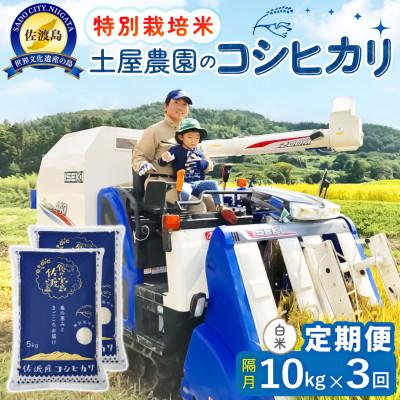 ふるさと納税 佐渡市 【2ヵ月毎定期便】佐渡島産コシヒカリ 白米10kg 土屋農園 農家直送 特別栽培米 　全3回