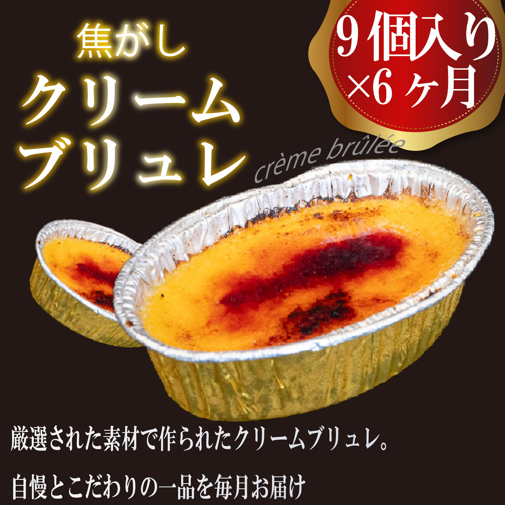6ヶ月 定期便 濃厚 焦がしクリームブリュレ 9個 冷凍 アイス プリン カタラーナ スイーツ デザート 卵 お菓子 洋菓子 焼き菓子 氷菓子 ギフト おやつ キャラメル ミルク個 牛乳 生クリーム 