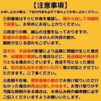 【 柑橘 】 柑橘3回定期便
