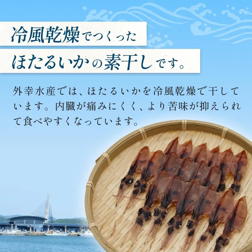 ほたるいか 素干し （18尾） 10袋 〈冷蔵〉 富山県 氷見市 ホタルイカ 干物 特産品 おつまみ