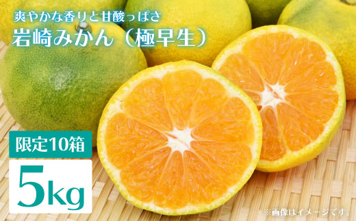 
                  みかん【10月上旬発送】岩崎みかん 約5kg＜原口果樹園＞ [CCW008] 長崎 西海 みかん ミカン 果物 フルーツ 柑橘 贈答 ギフト 早生みかん みかん
                