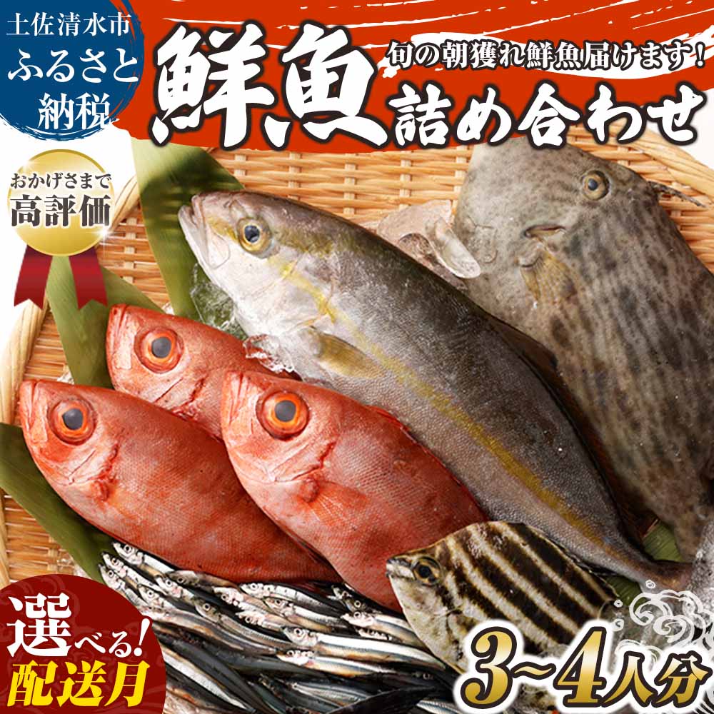 【ふるさと納税】鮮魚 ボックス 詰め合わせ 朝獲れ 朝どれ 旬 3～4人分 魚介 海鮮 刺身 魚料理 まるごと 魚 生魚 さかな せんぎょ サバ タイ アジ カツオ カマス カンパチ セット おまかせ ランダム 家族 産地直送 漁師直送 送料無料 故郷納税 高知 12000円【S00818】