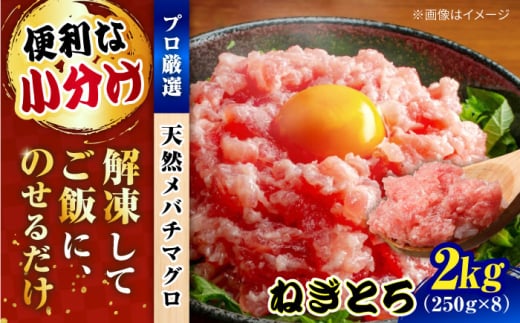 まぐろ ねぎとろ 約2kg（約250g×8パック） 鮪 マグロ 魚 ネギトロ 横須賀【横須賀商工会議所 おもてなしギフト事務局（本まぐろ直売所）】 [AKAK006]