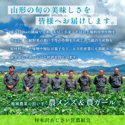 ふるさと納税 山形市 【令和7年産】山形市 村木沢産 はえぬき 玄米 30kg FZ26-928 |  | 01