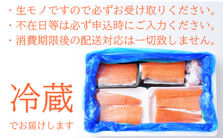 サーモン 純生アトランティックサーモン ブロック 半身(骨なし・皮なし)※生食可 |  サーモン サーモン サーモン