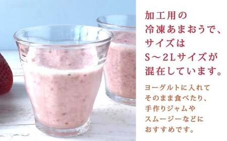 やまや 【濃厚な味わい！】 冷凍いちご 博多あまおう 1kg あまおう 苺 いちご イチゴ 冷凍苺 冷凍イチゴ 果物 くだもの フルーツ 冷凍