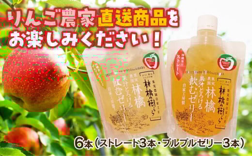 D520 林檎果汁とろける飲むゼリーセット