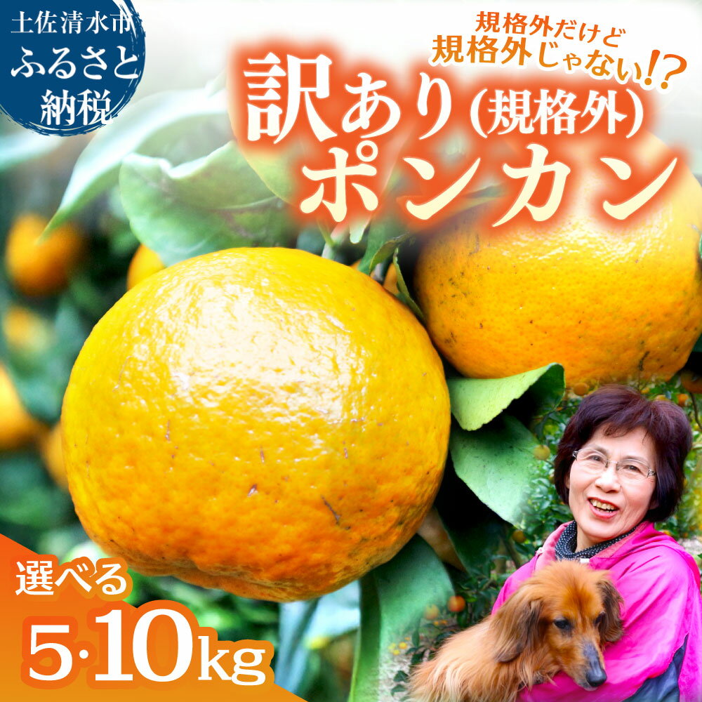 【ふるさと納税】R8.1月下旬発送 規格外だけど規格外じゃない!? 訳あり 足摺ぽんかん 5kg 10kg デコポンの親 みかん 柑橘 果物 果実 ミカン ポンカン フルーツ おやつ デザート 5キロ 美味しい 井村農園 高知県 土佐清水市 故郷納税 返礼品 高知 送料無料【R01485】