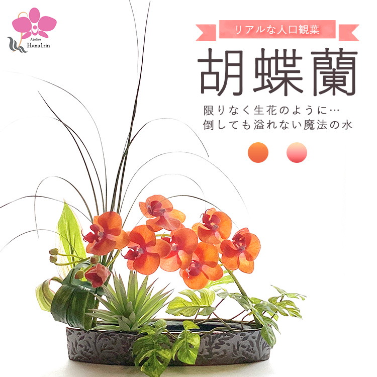 限りなく生花のように…倒しても溢れない魔法の水「胡蝶蘭」 ※北海道・沖縄・離島への配送不可
