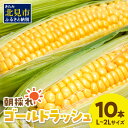 【ふるさと納税】【予約：2025年9月上旬から順次発送】北海道北見市産 朝採れ ゴールドラッシュ 10本 ( ふるさと納税 トウモロコシ 北海道 ふるさと納税 とうもろこし ふるさと納税 ゴールドラッシュ スイートコーン 野菜 コーン 採れたて 新鮮 ふるさと納税 予約 )