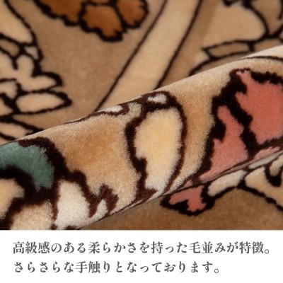 ふるさと納税 橋本市 絨毯 ラグマット 2畳 正方形 200×200 洗える 厚手 キャニオン ベージュ |  | 01
