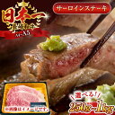 【ふるさと納税】【A4〜A5】長崎和牛サーロインステーキ　(250g or 500g or 1kg）【株式会社 MEAT PLUS】[QBS013] 長崎 長崎和牛 牛肉 肉 サーロイン ステーキ 選べる容量 贅沢 a4 a5 冷凍