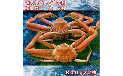 【先行予約 2026年11月中旬以降発送】訳あり蒸しご自宅用　松葉ガニ　大　２枚　１枚800～940ｇ前後MK4｜国産 訳あり ズワイガニ 松葉ガニ カニ 蟹 かに ボイル カニ鍋 かに鍋 鍋 かにしゃぶ かにみそ 期間限定 送料無料 鳥取県 三朝町