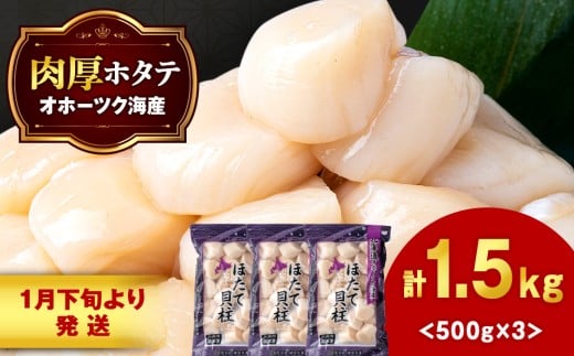 【1月末発送】ほたて 貝柱 大粒 冷凍 1.5kg（500ｇ×3パック） お取り寄せ 刺身 《横田水産》