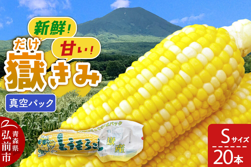 【26年10月中旬～発送】とうもろこし 嶽きみ真空パック Sサイズ 20本 しらかみラボ [先行予約 産地直送 嶽きみ コーン ブランド 真空パック おいしい 青森 野菜 だけきみ]